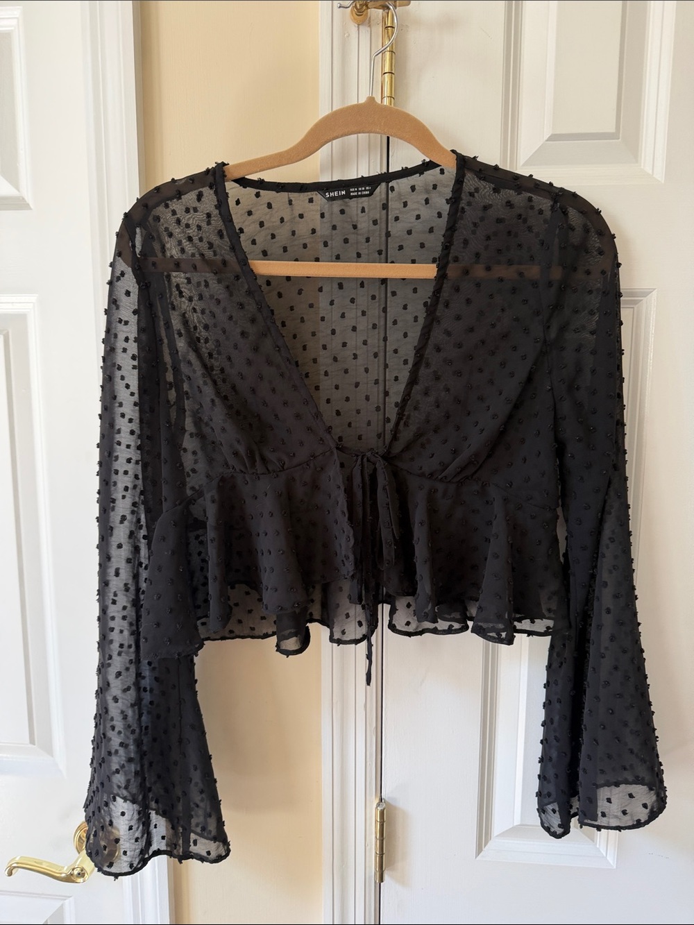 SHEIN Sheer Black Swiss Dot Tie-Front Peplum Top